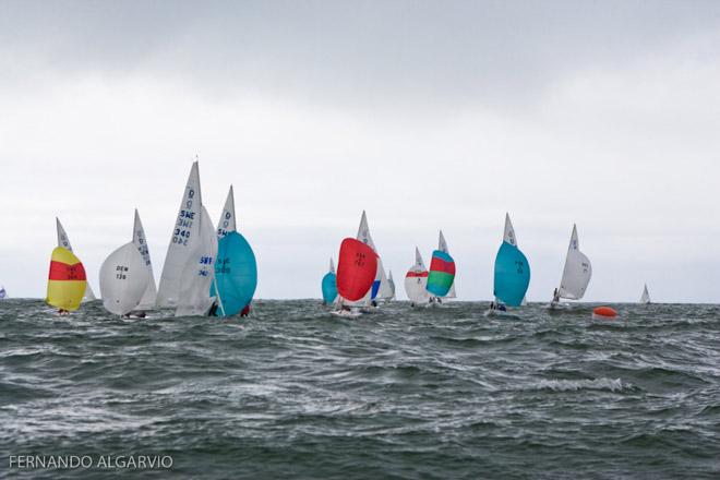Cascais BMW Dragon European Championship 2013 © Fernando Algarvio http://www.fernandoalgarvio.com